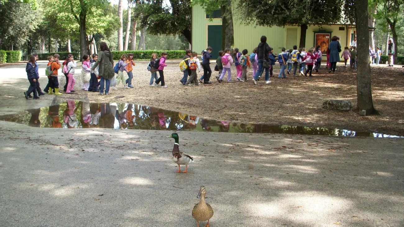 Itinerari Didattici per Scuole